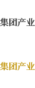 集團(tuán)產(chǎn)業(yè)