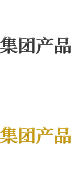 集團(tuán)產(chǎn)品